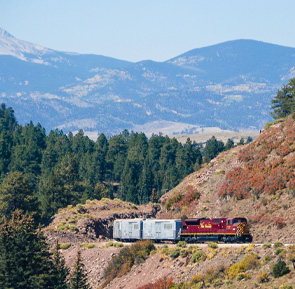 Cargo Train